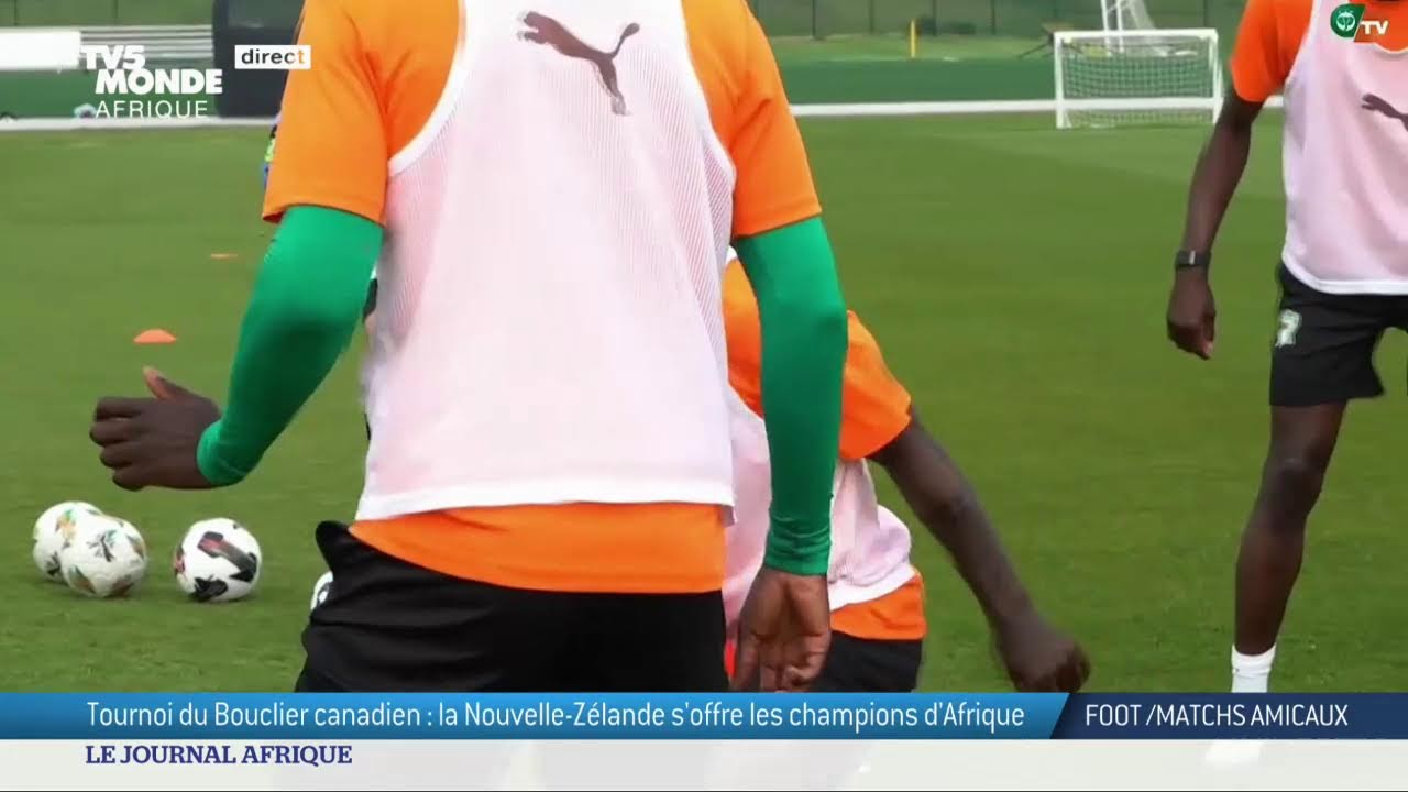 Le journal Afrique du dimanche 8 juin 2025 sur TV5MONDE