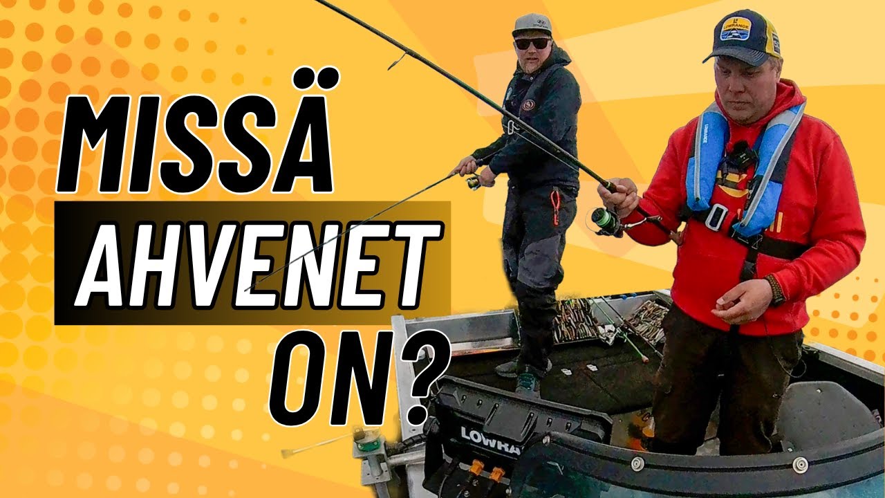 Ahvenjahti Suur-Saimaalla – Löytyykö alkukesän saalista?
