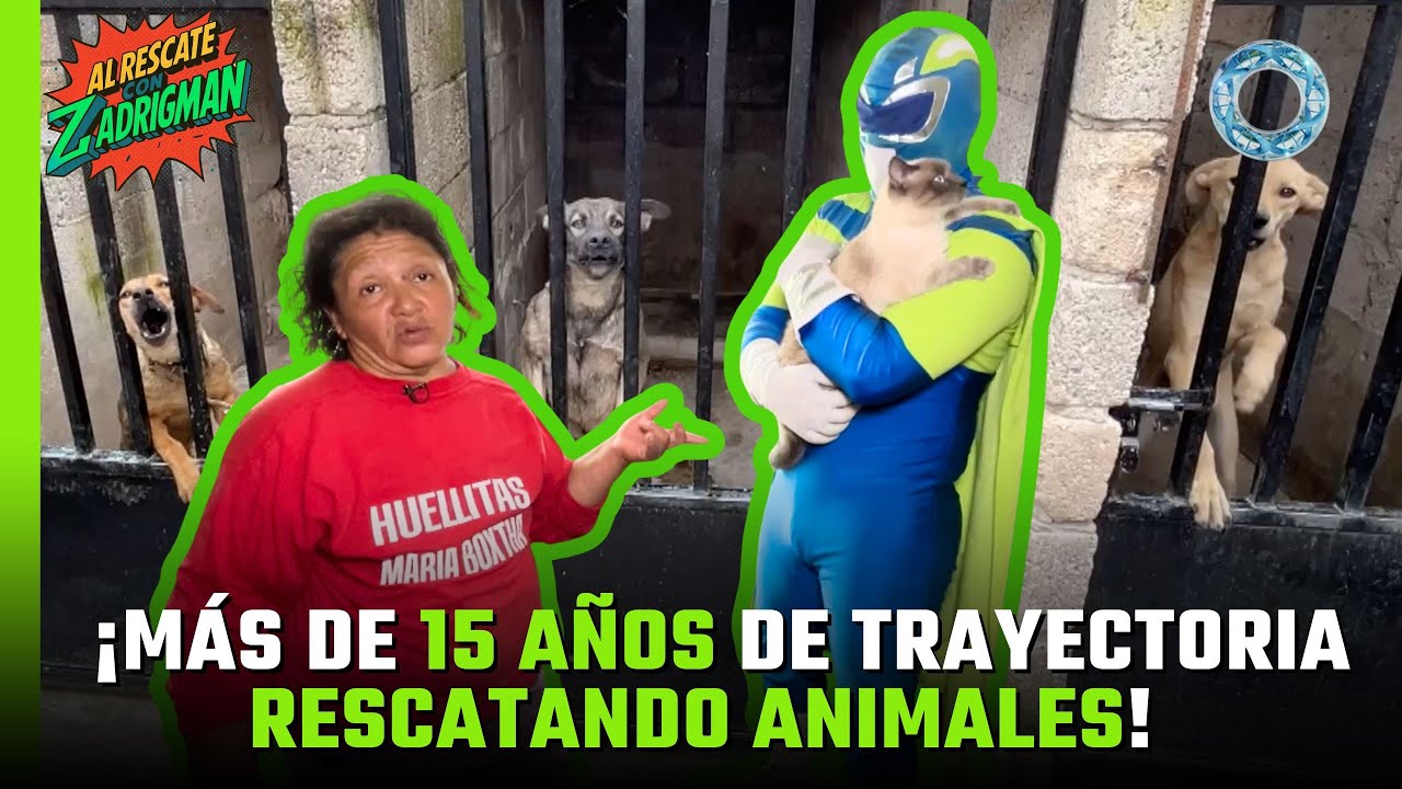 ¡Más de 15 años de trayectoria rescatando animales! 🐾
