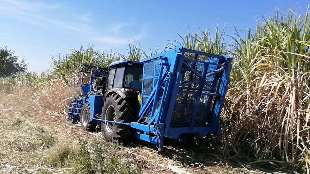 TRACTOR SUGARCANE HARVESTER WORKING FIELD, MODEL F17 MADE IN INDIA