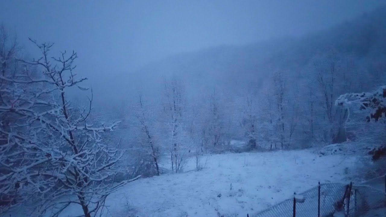 CASA TAISEN #3 - Cibo per il corpo e lo spirito per affrontare il freddo e la neve