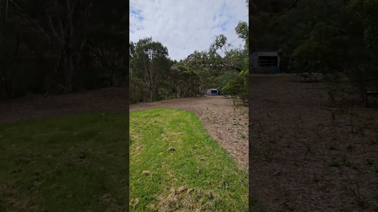 Found a great new place while exploring | Timelapse Walking Tour Melbourne Scotchmans Creek