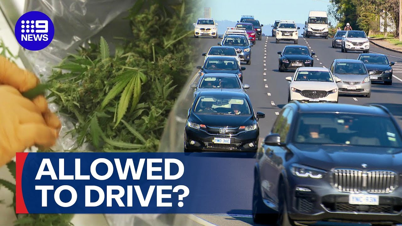 Drivers who test positive for medicinal cannabis could get behind the wheel | 9 News Australia