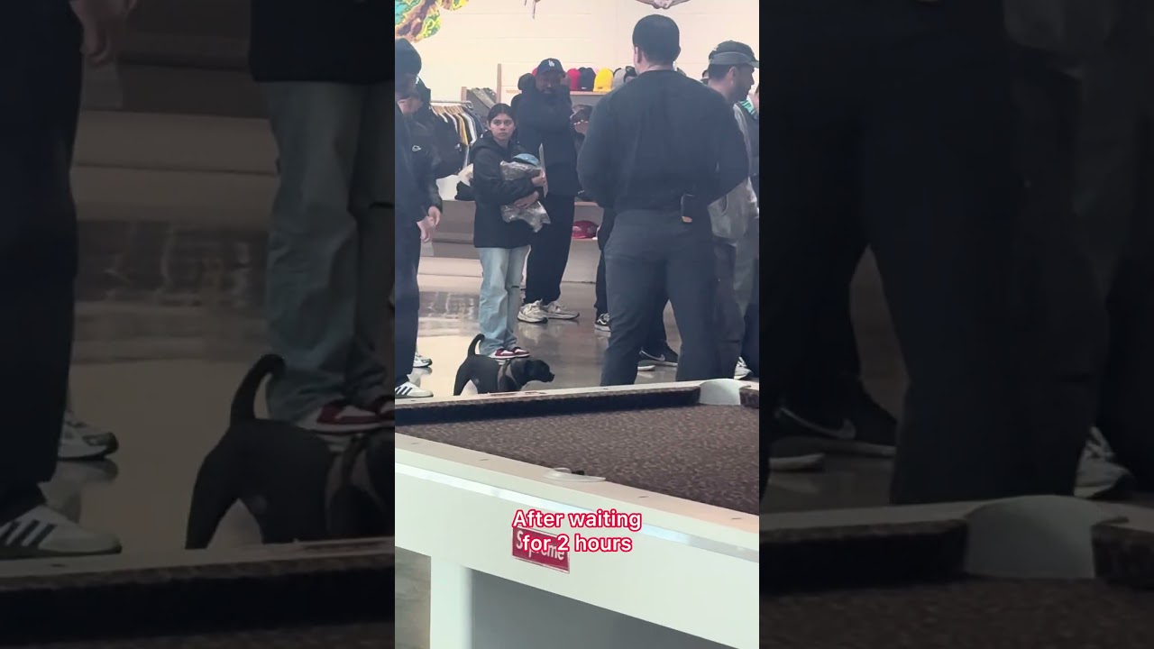 Supreme Box Logo Washed Crew Neck drop in Supreme LA 