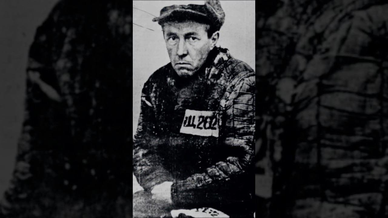 Stalin Matou Mais que Hitler: Por Qu&ecirc; N&atilde;o &eacute; Proibido? #entretenimento #historia #short #viral #ww2