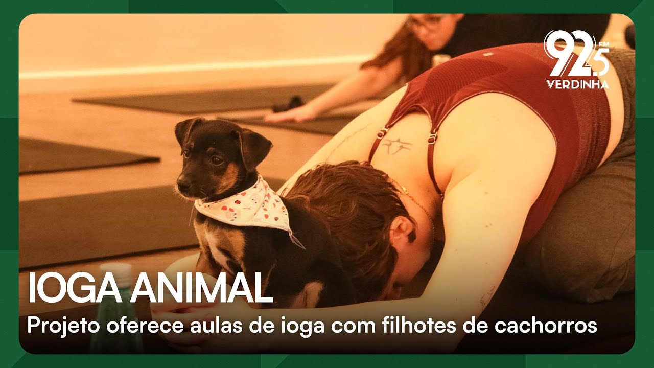 Projeto oferece aula de ioga com filhotes de cachorro em Fortaleza