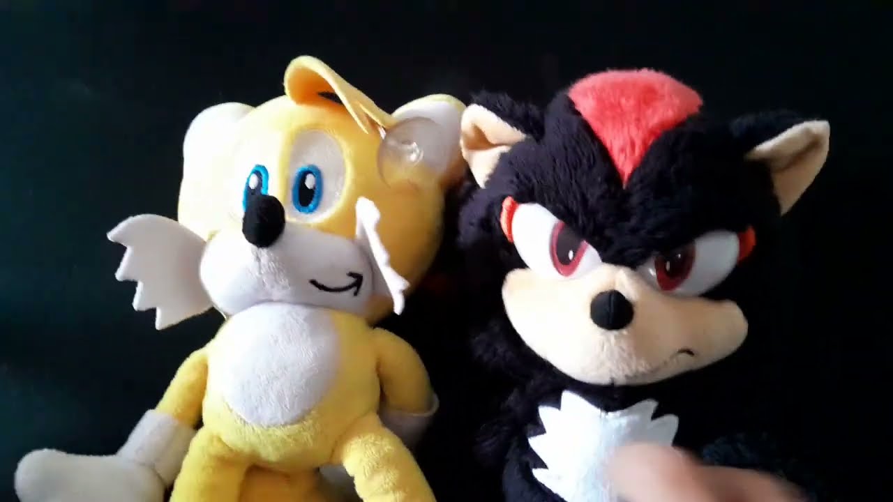 Shadow fights Tails