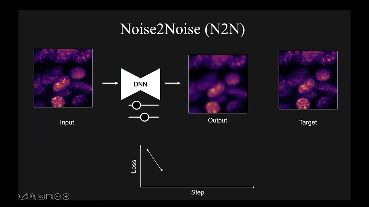 VIA Webinar: Deep learning denoising for volume microscopy