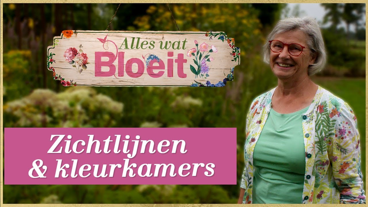 Zichtlijnen & kleurkamers | Alles Wat Bloeit