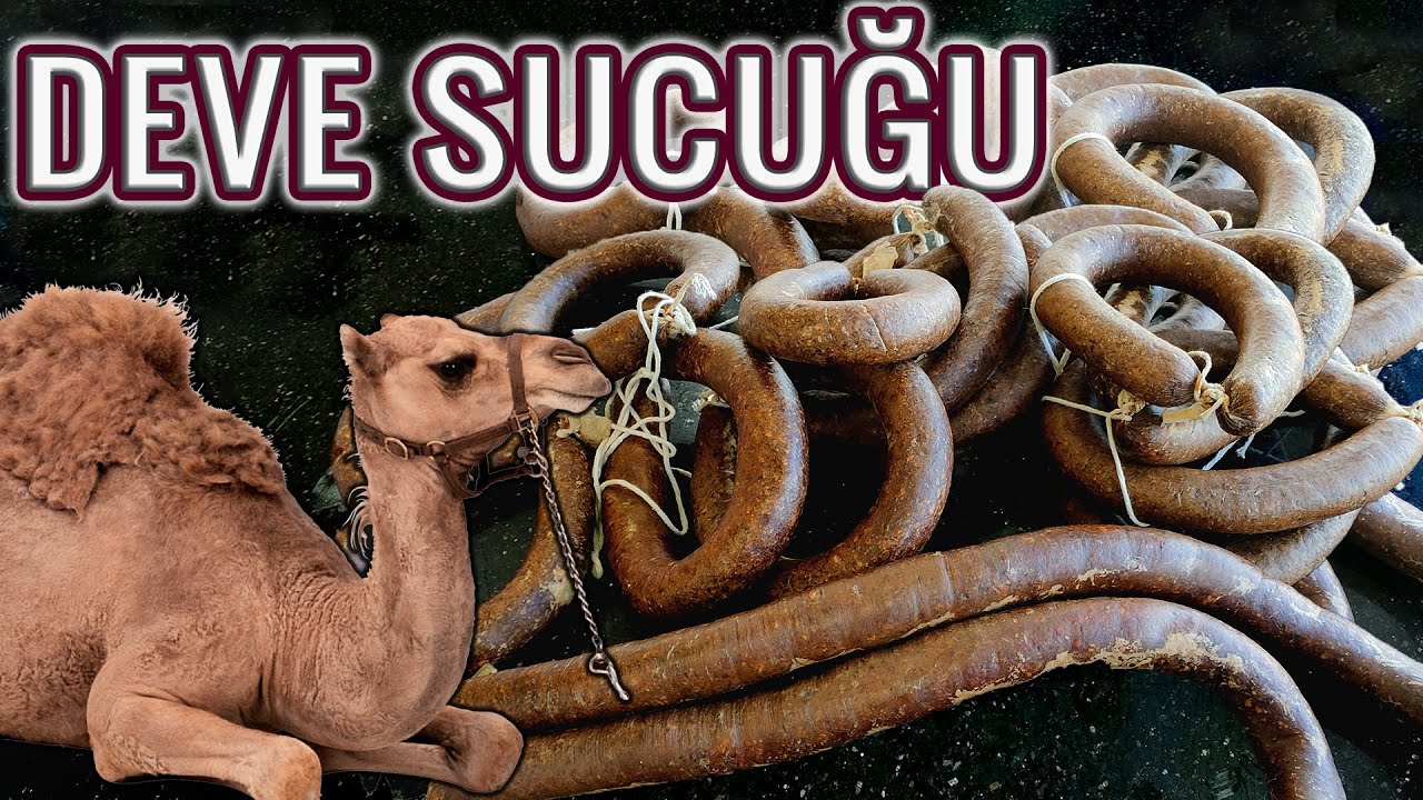 ÇOK ZORLANDIK AMA YAPTIK !!! %100 DEVE SUCUĞU  (Evde Doğal Fermente Sucuk Nasıl Yapılır? )
