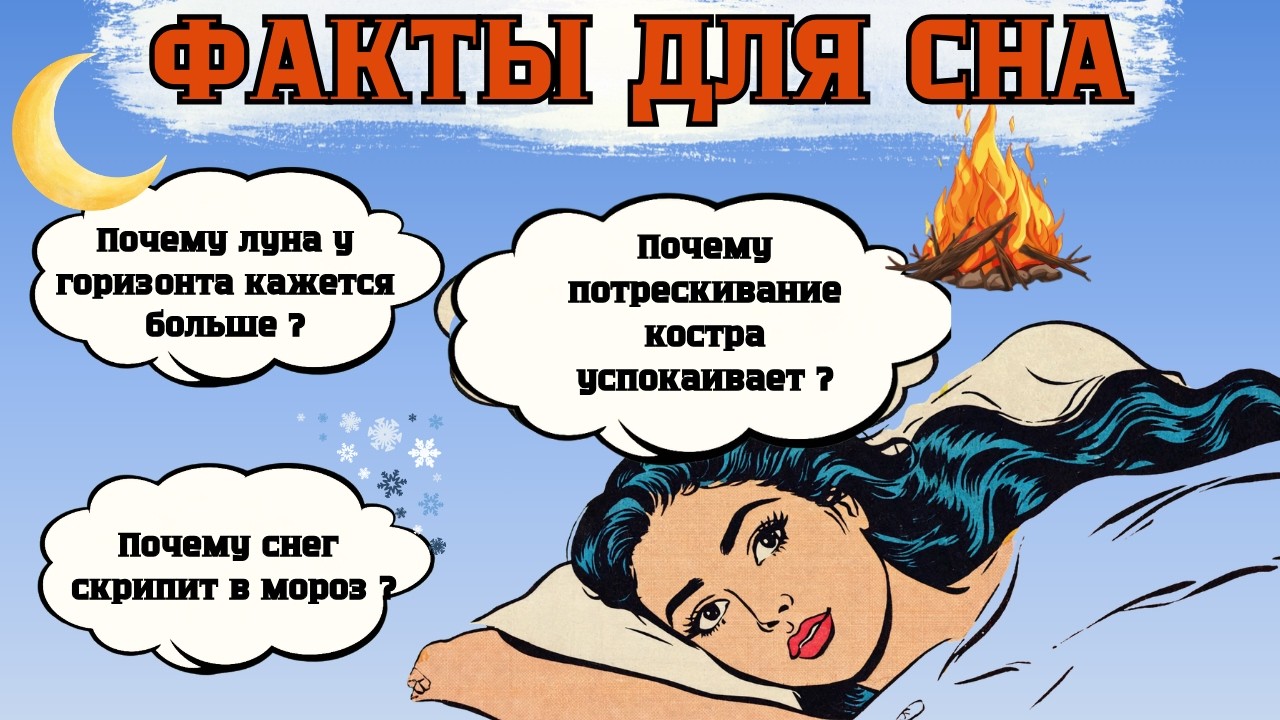 39 тихих «почему», от которых засыпаешь за 10 минут | Лекция для сна