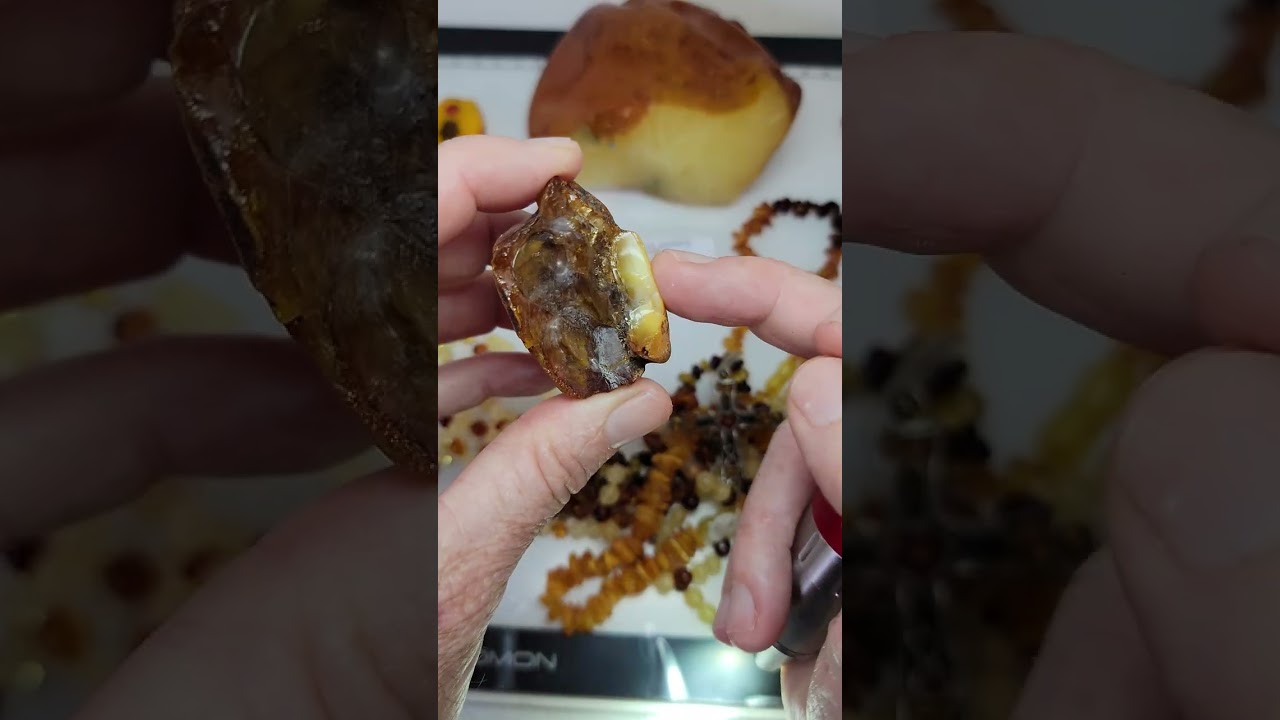 Глубокое погружение в балтийский янтарь