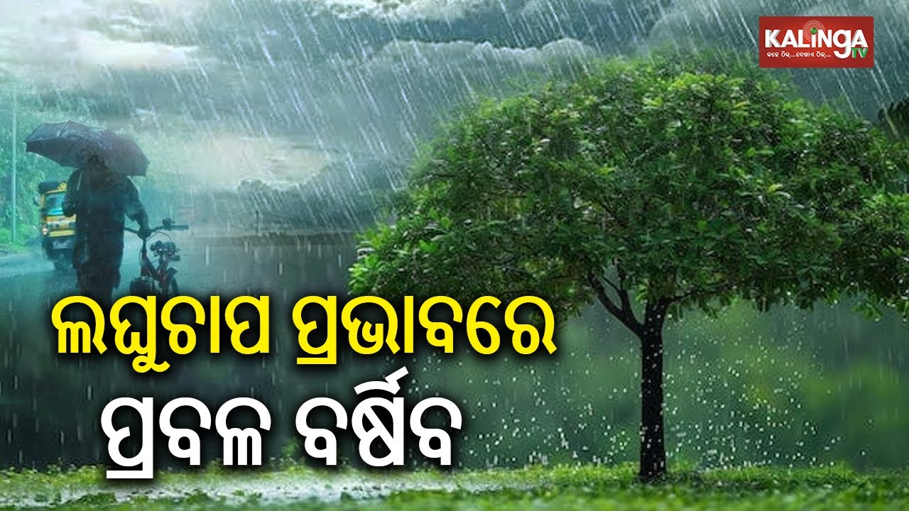 IMD Alert On Rainfall Intensity & District-Wise Warning | Kalinga TV