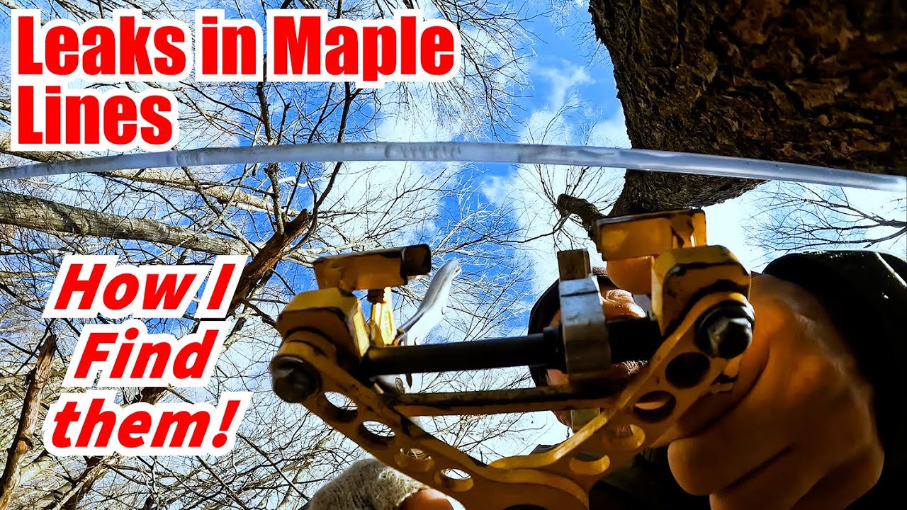 How We Find Leaks in Our Maple Syrup Lines