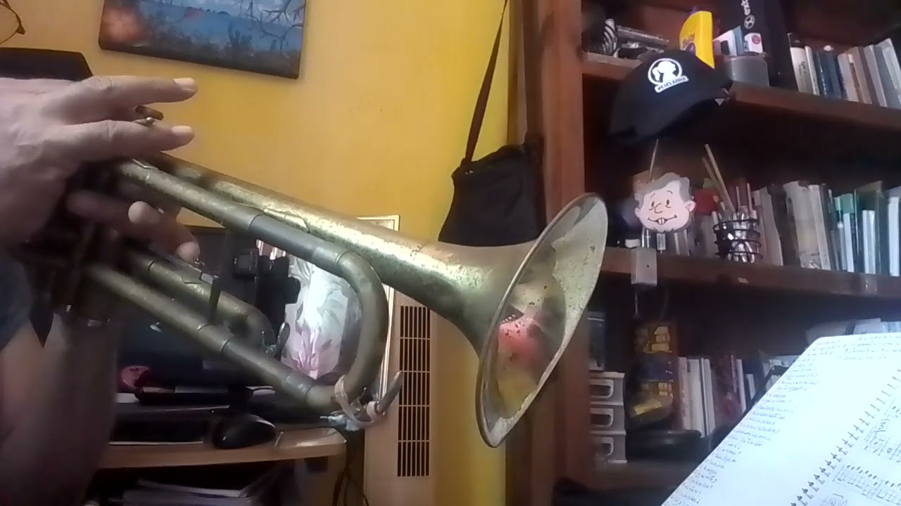 28 de febrero de 2026