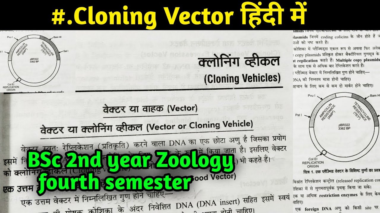Cloning Vector in hindi || Difference between cloning Vector and Expression Vector