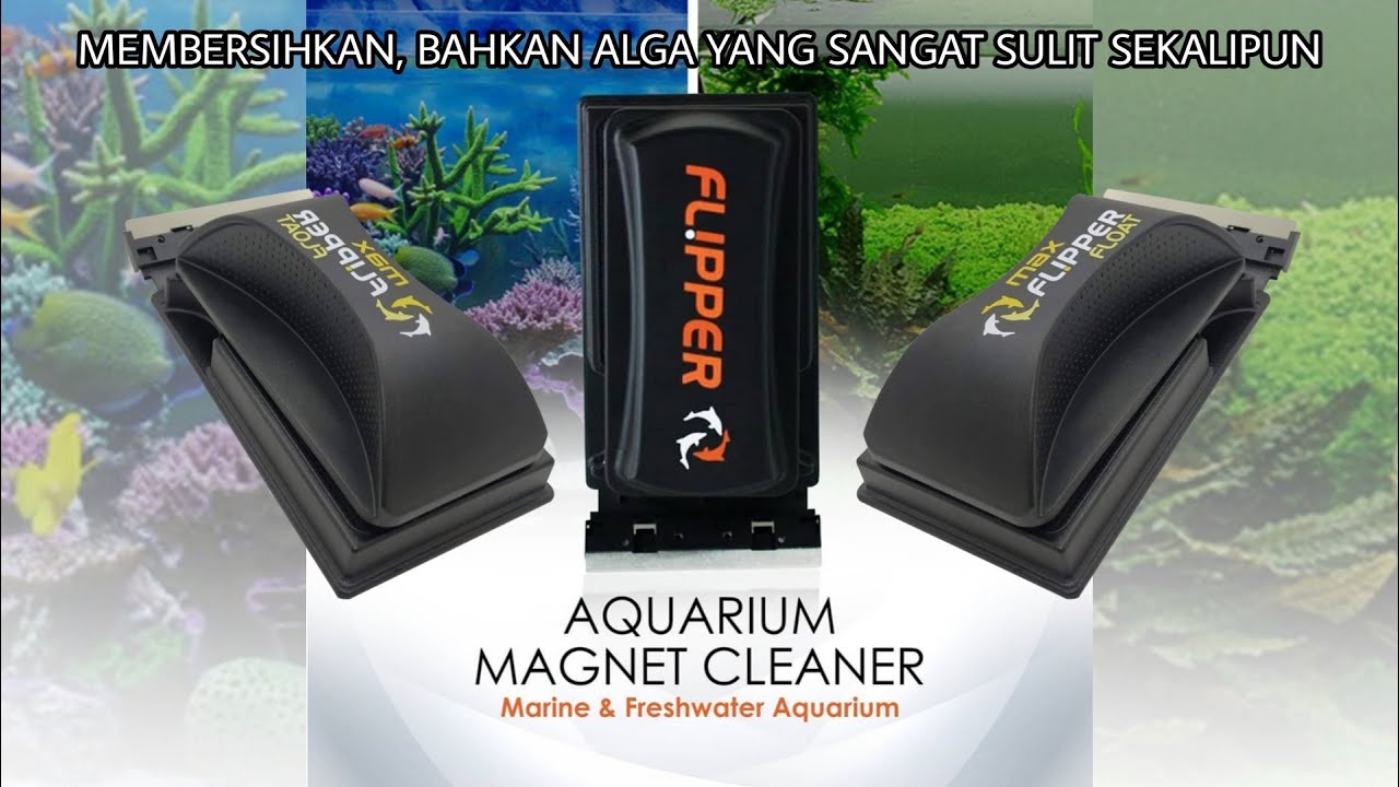 SALAH SATU SCRAPER TERBAIK DI DUNIA