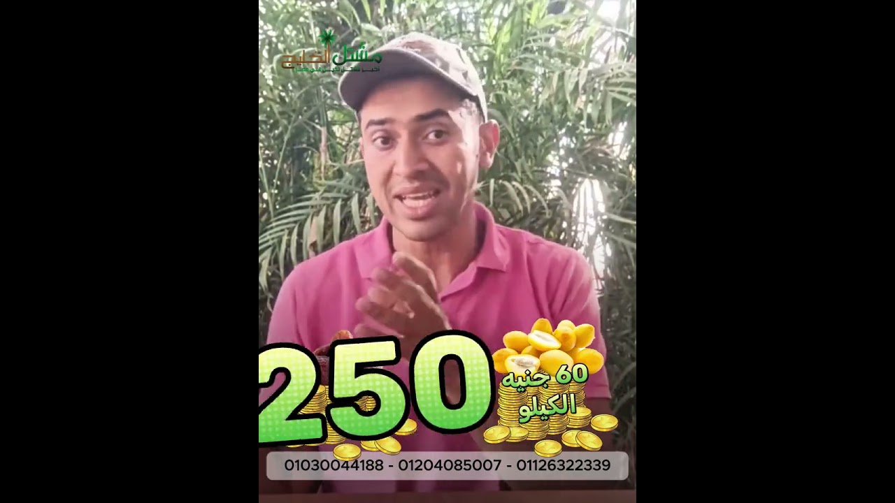 ابدأ صح: خطة مشروعك الزراعي + الأصناف المضمونة للربح ✅