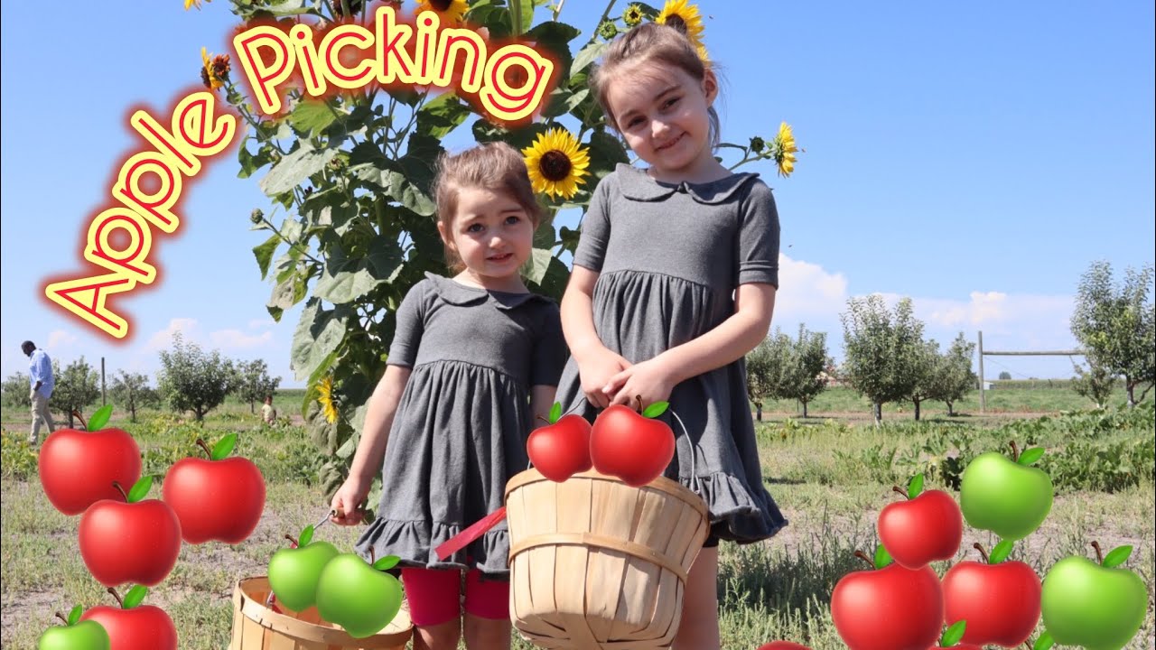 Apple Picking 🍎🍁🍏| Playtime for #kids and #toddlers | @busydayadventures