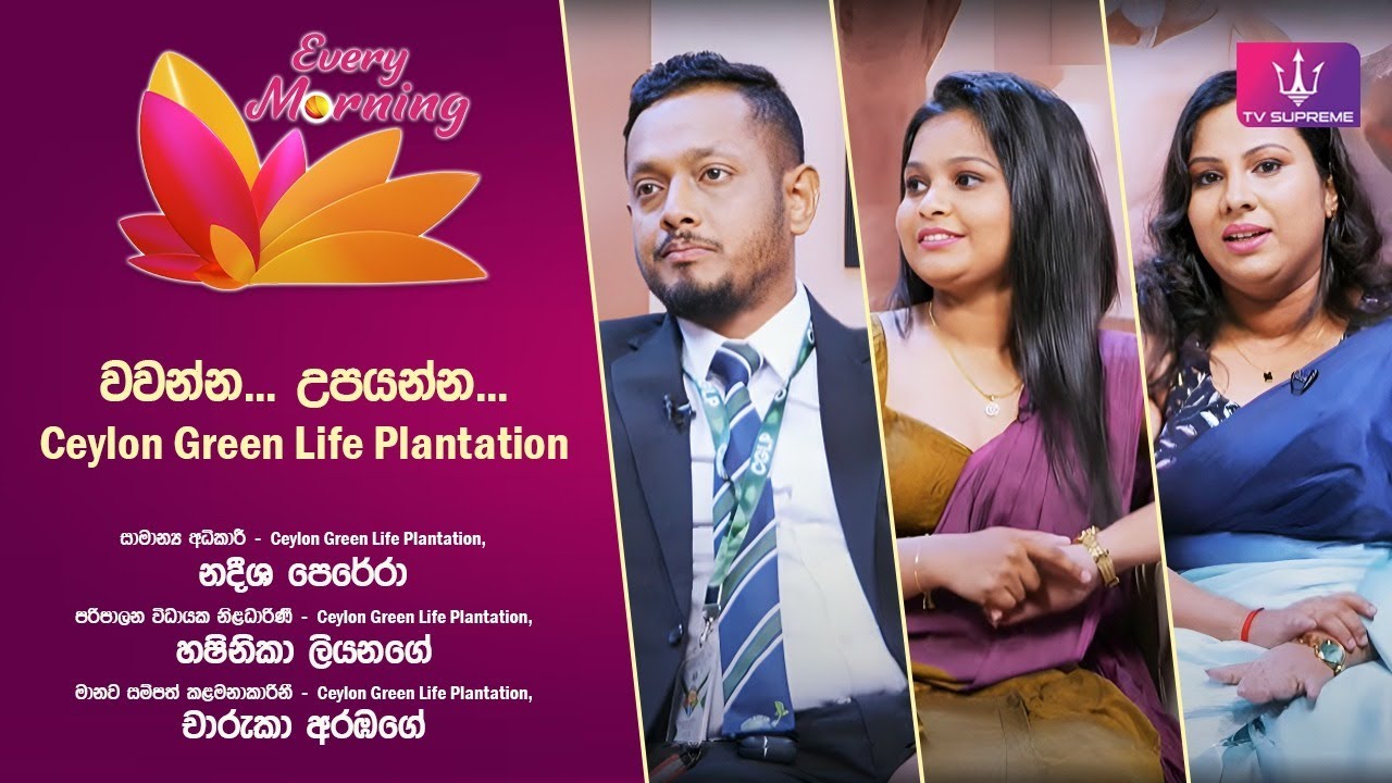 🔴 Every Morning | Ceylon Green Life Plantation | 2025.08.28