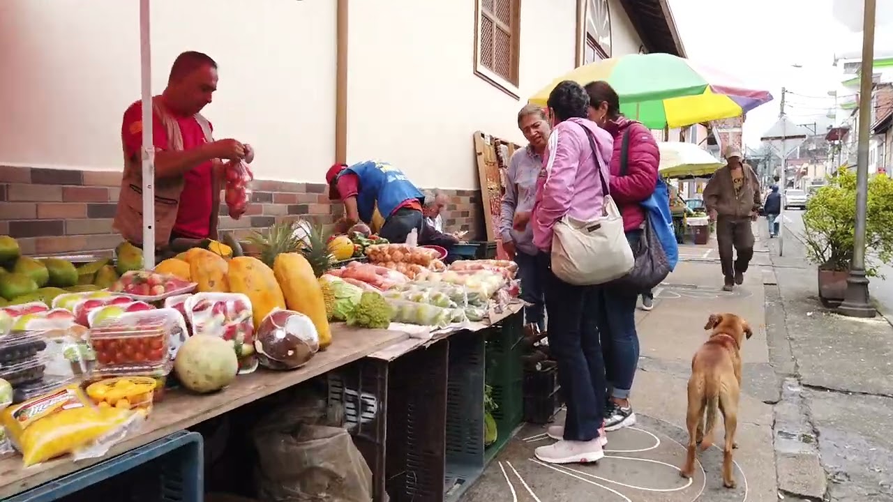 Villamaria 🇨🇴 Caldas 🌎 Colombia