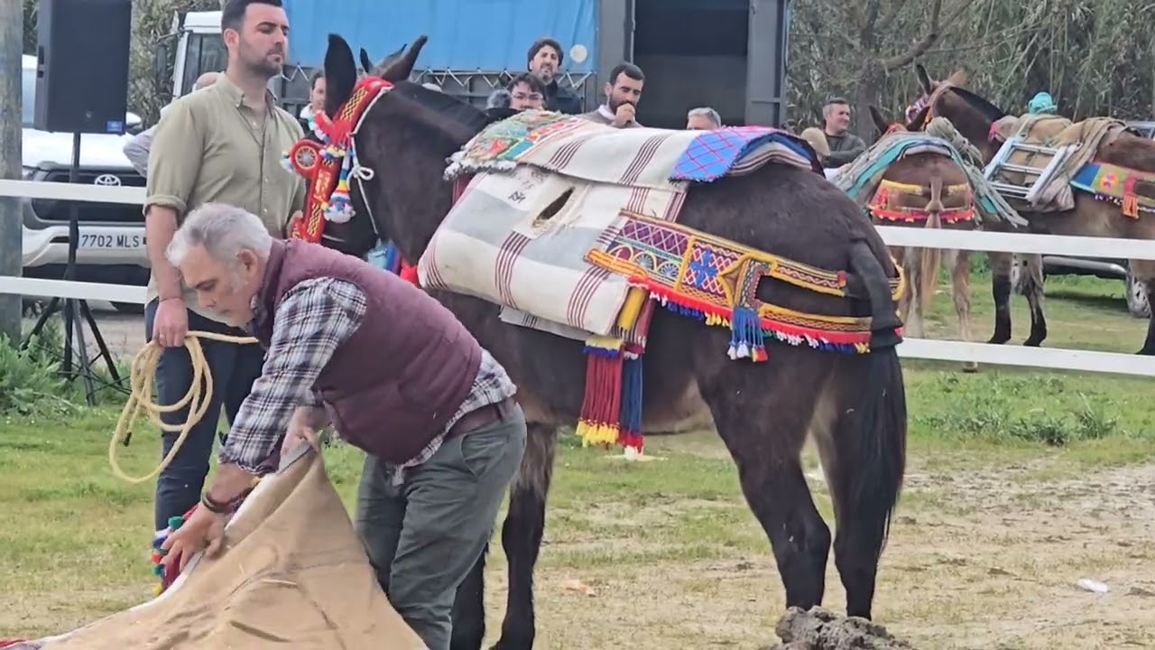 Feria de San José del valle. 