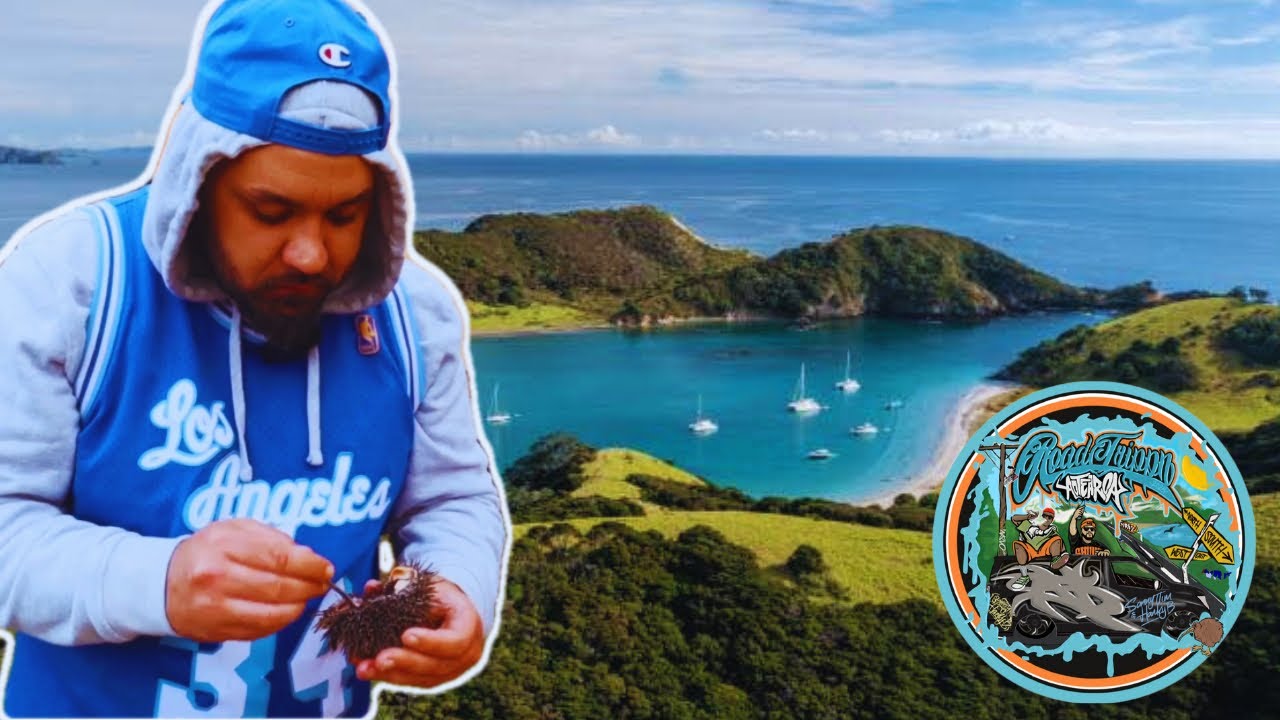 BAY OF ISLANDS - Road Trippn Aotearoa