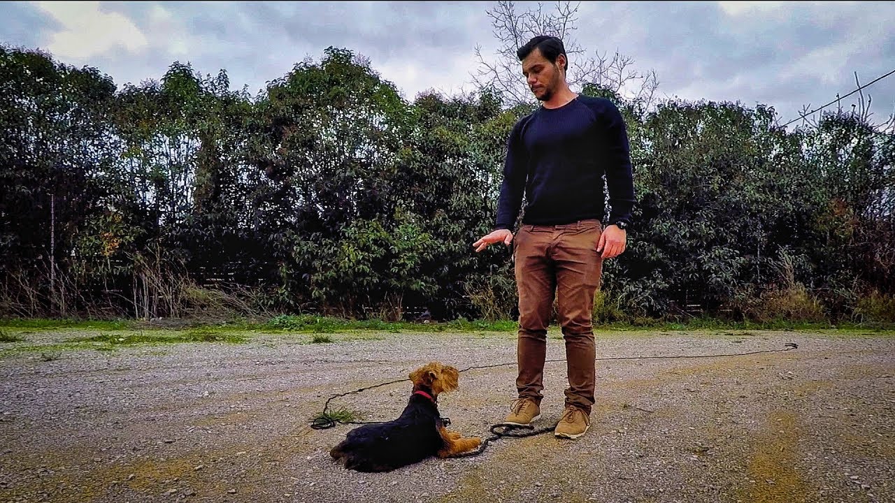 Πως μαθαίνουμε την εντολή 