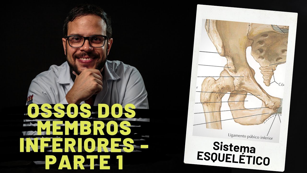 SISTEMA ESQUELÉTICO: OSSOS DOS MEMBROS INFERIORES - PARTE 1 - AULA PRÁTICA COM PROF. ANDRÉ OLIVEIRA
