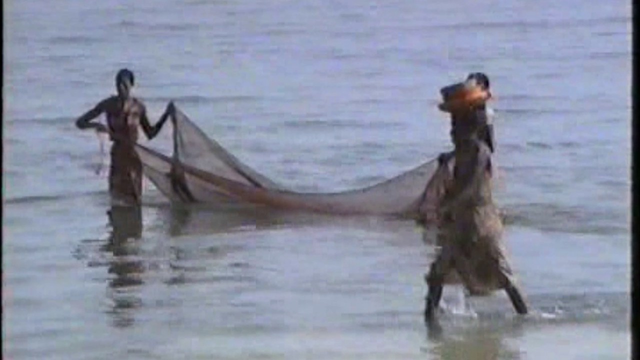 Pemba - Wimbe 1991