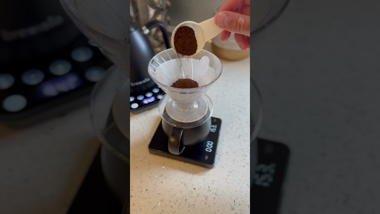 V60 Preparation - Golden Bean NZ