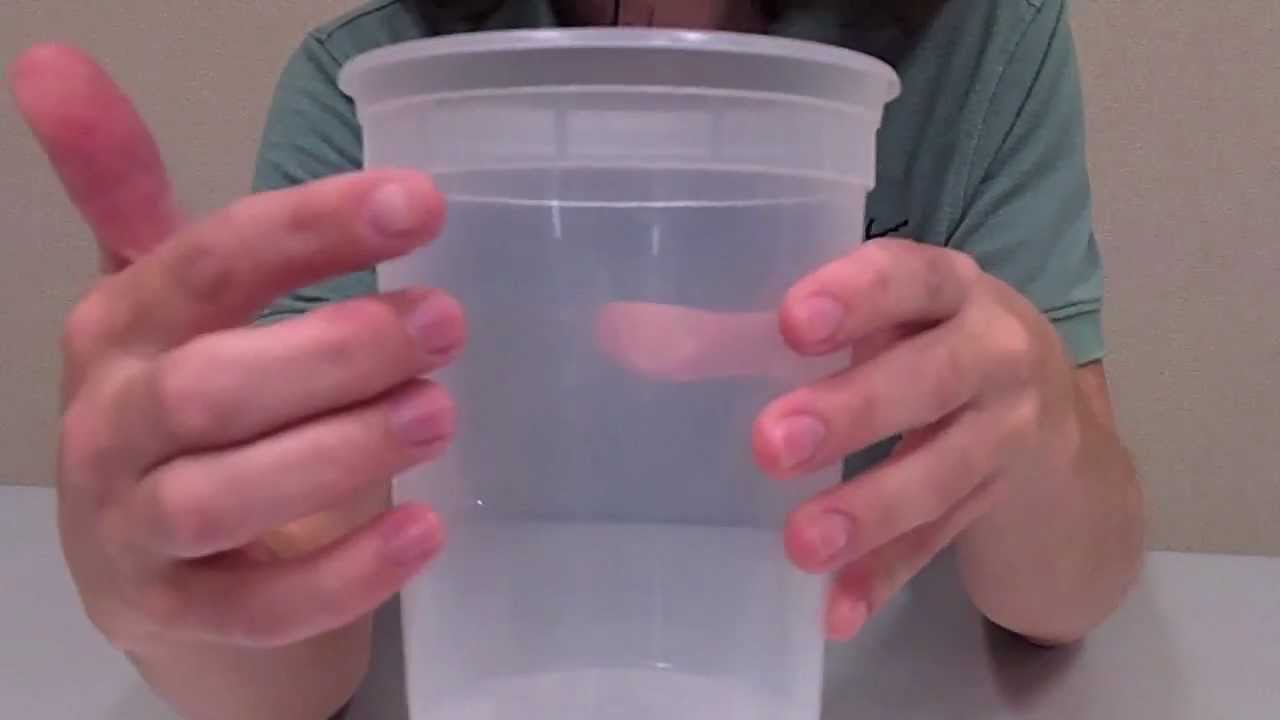 Making a Spotted Wing Drosophila Trap