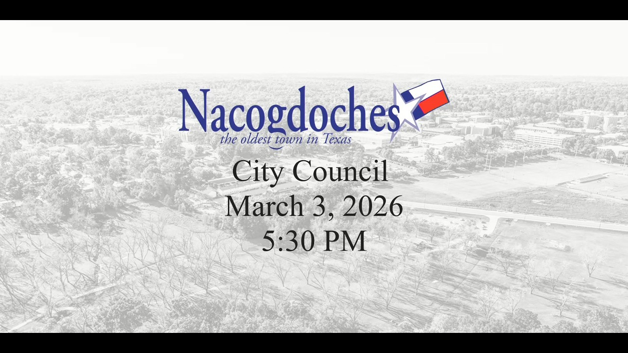 City Council Meeting - 2025/03/03