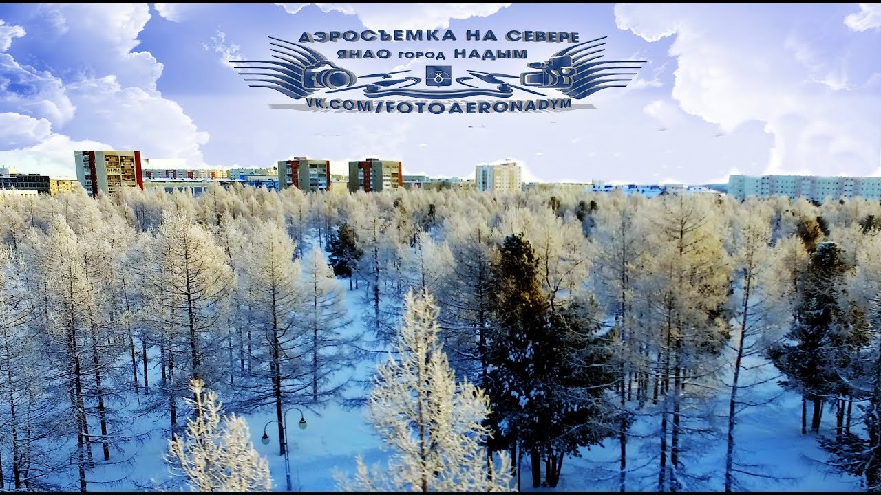 Зимушка в Надыме