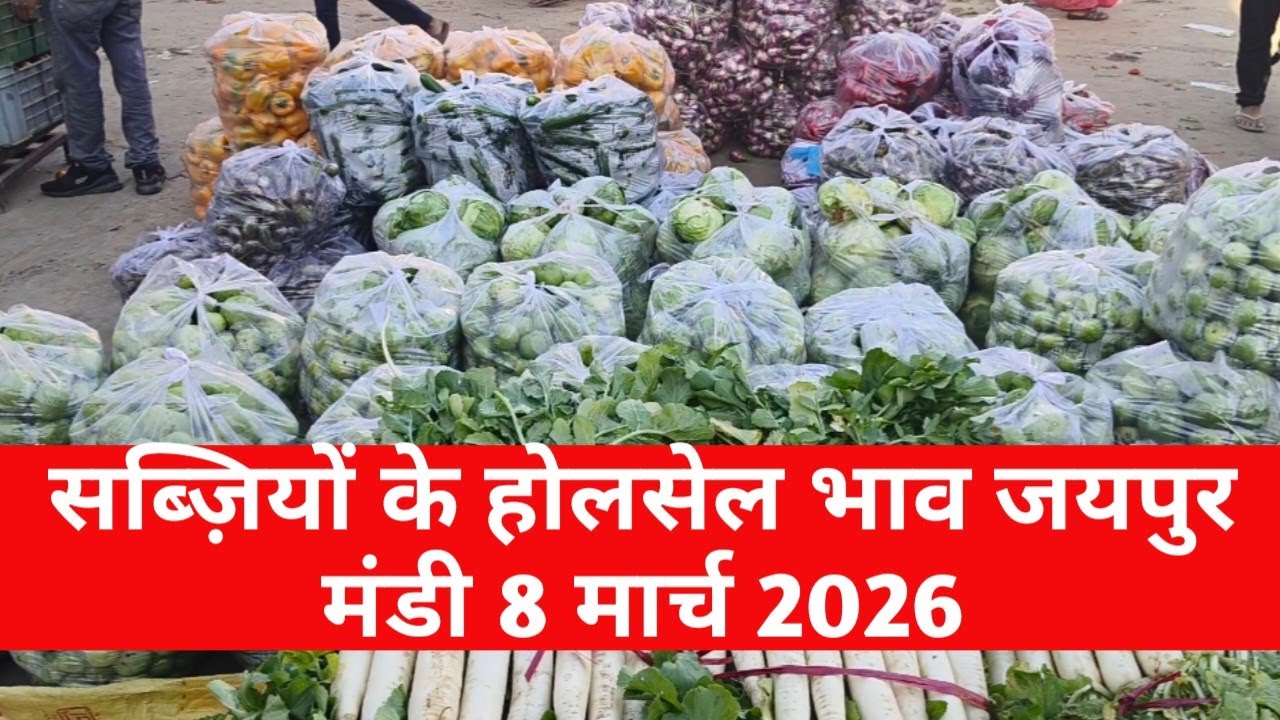 8 मार्च 2026 सब्जियों के होलसेल भाव जयपुर मंडी | आज सब्जियों का भाव | Jaipur Vegetable Market