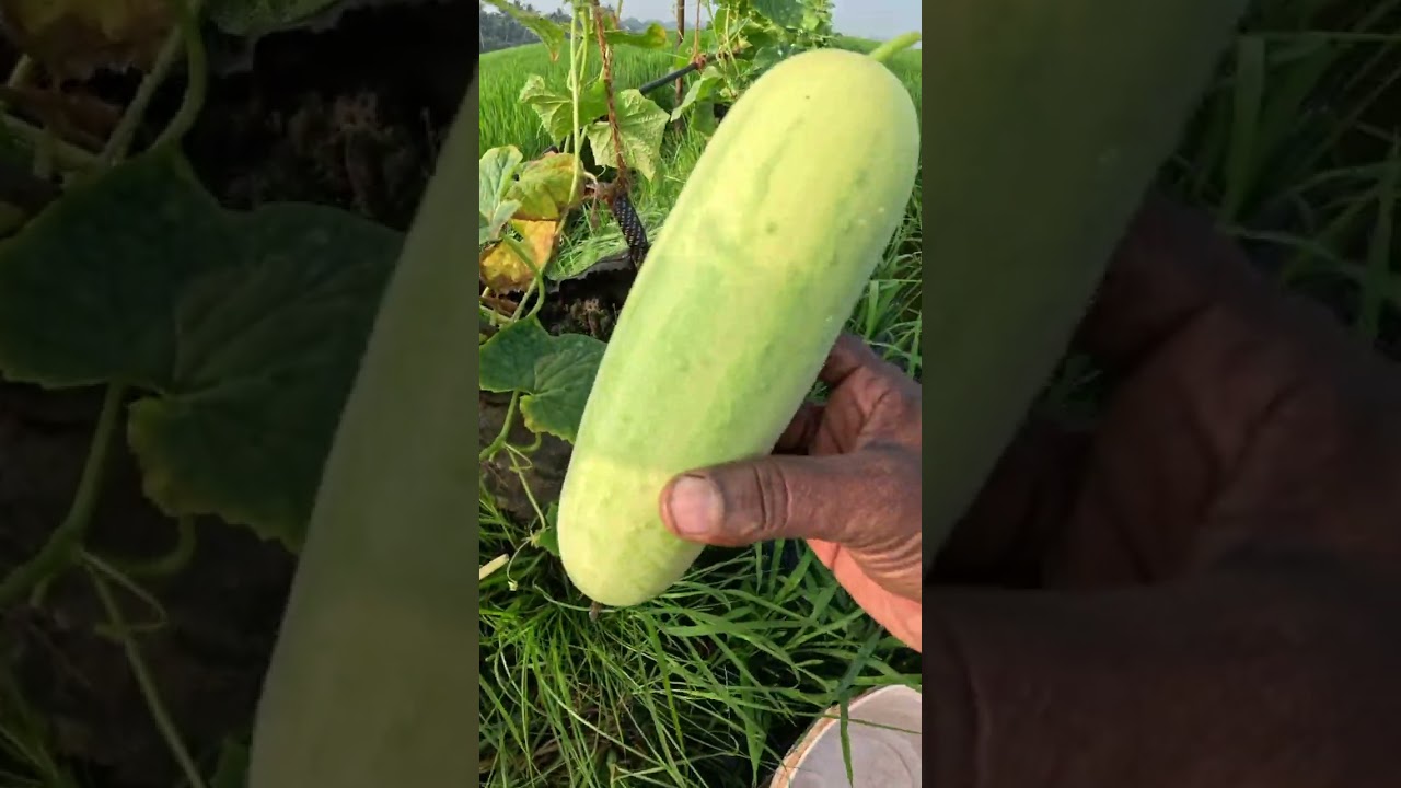 ഓരോ  വിജയവും  ഓരോ പ്രതീക്ഷകൾ ആണ് 