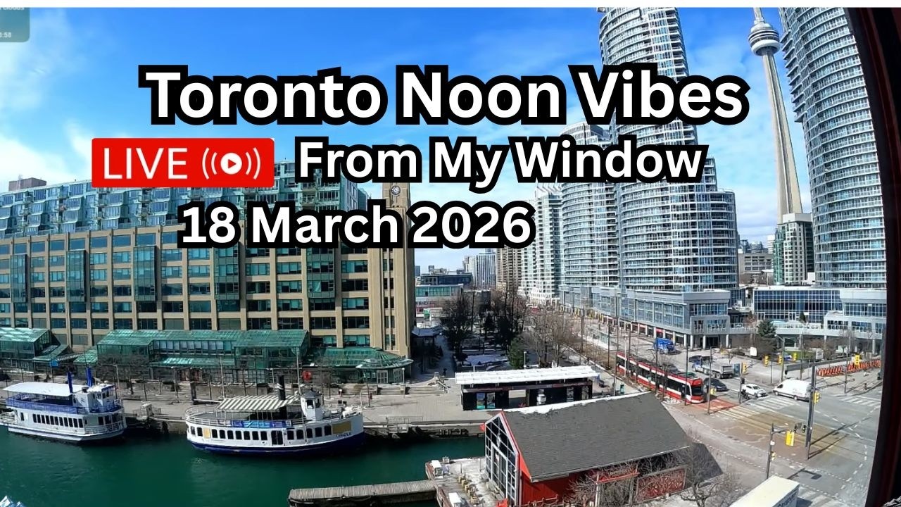 🔴Toronto Window Cam LIVE HD | MaoChow Adventure 18th March 2026 chilly Noon vibes