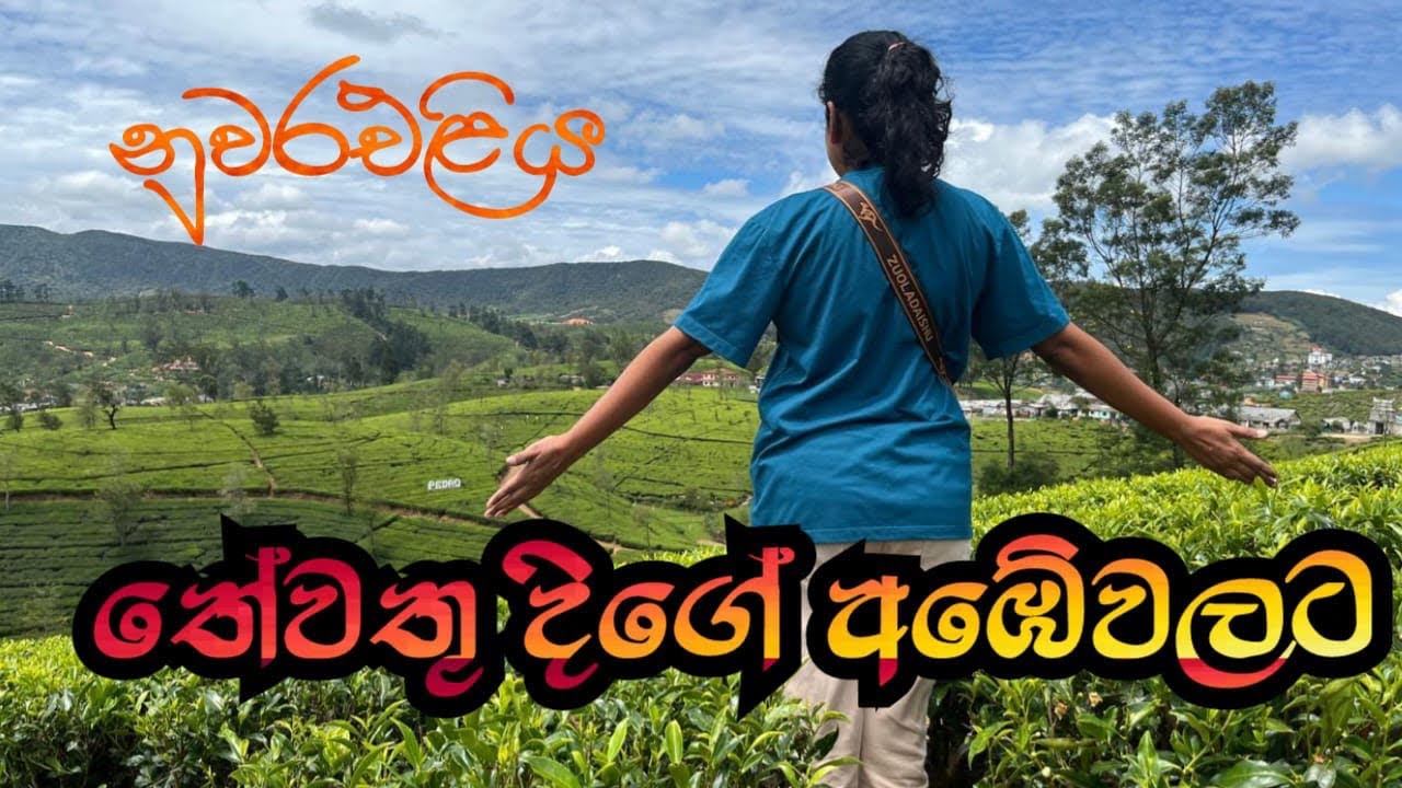 Ambewela Farm  | Pedro Estate  | Nuwara Eliya | Best places to visit in Sri Lanka | Sinhala