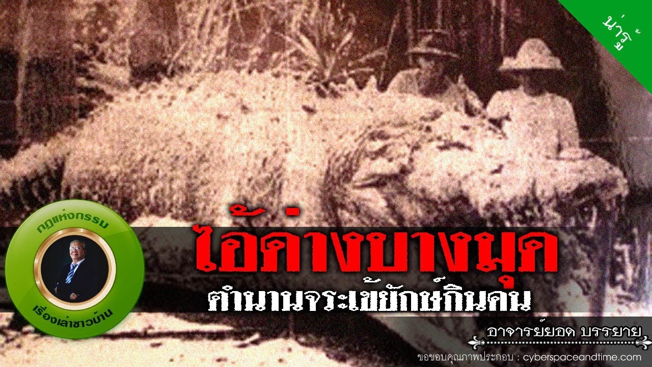 อาจารย์ยอด : ไอ้ด่างบางมุด ตำนานจระเข้ยักษ์กินคน [น่ารู้]