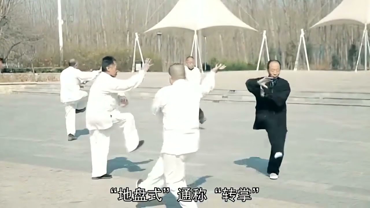 Yin Yang Ba Pan Zhang 陰陽八盤掌