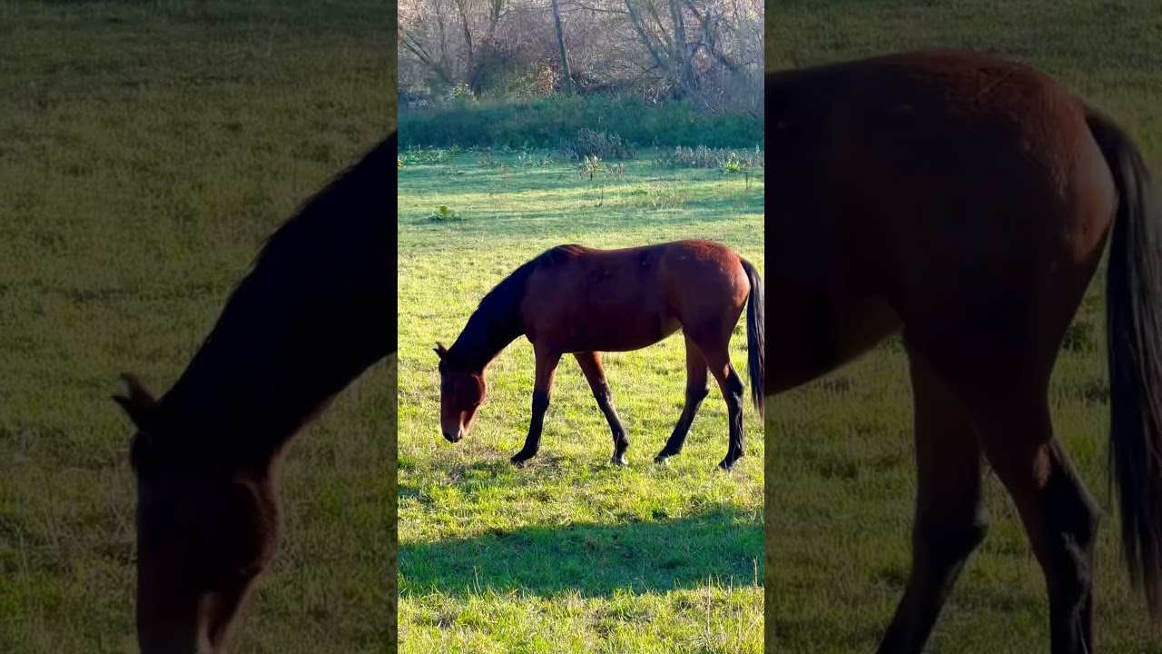 Nothing else matter🌍 