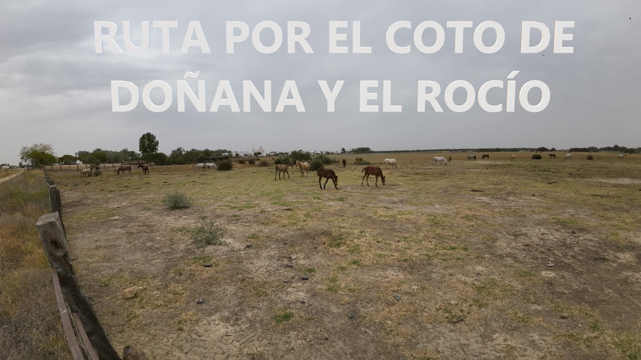 Sendero Charco de la Boca en el Parque Nacional de Doñana. Aldea de El Rocío y ermita de El Rocío.