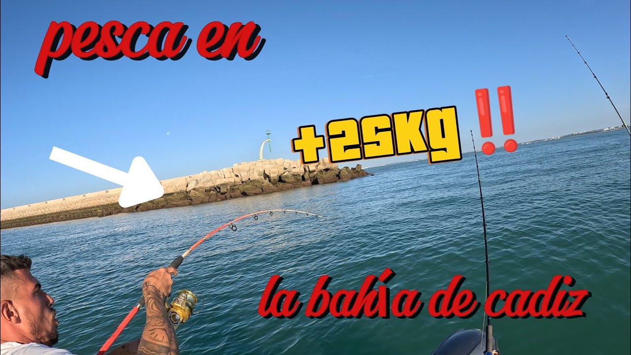 +25kg‼️Pesca en la bahía de cadiz‼️ pez gigante a fondo🦈!!
