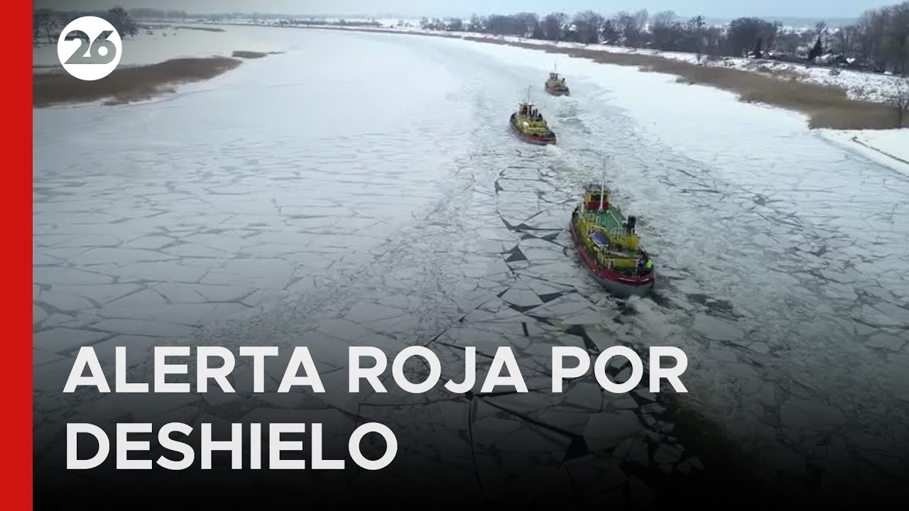 🇵🇱 POLONIA COMBATE EL HIELO | Los rompehielos trabajan para romper la capa de hielo en el Vístula