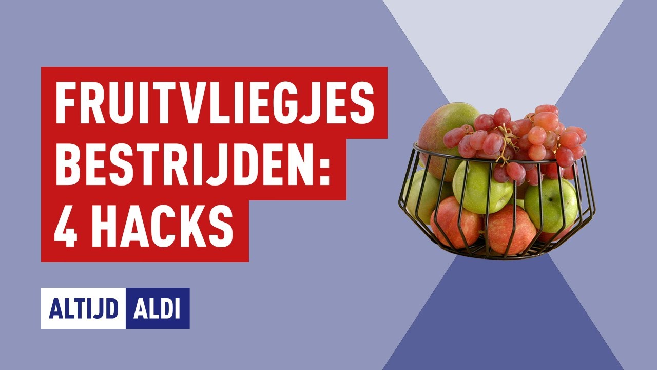 Vier handige tips tegen fruitvliegjes | Altijd ALDI