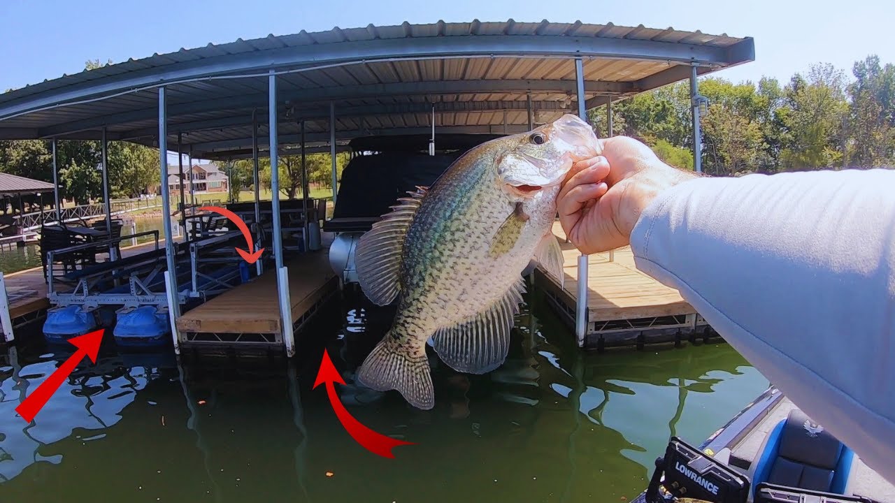 How TO Catch LATE SUMMER Crappie On BOAT DOCKS!! (Presented by @midwayusa)