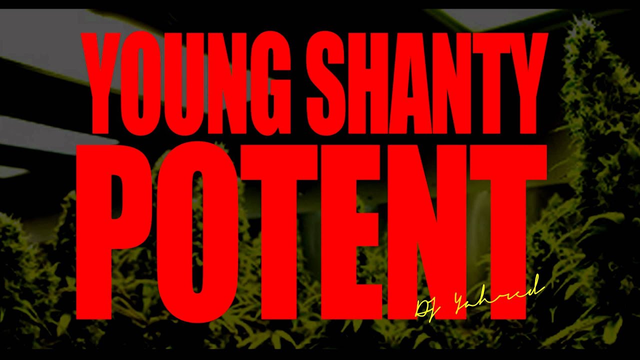 Young Shanty (Iyahson) - Potent - Lightning Bolt