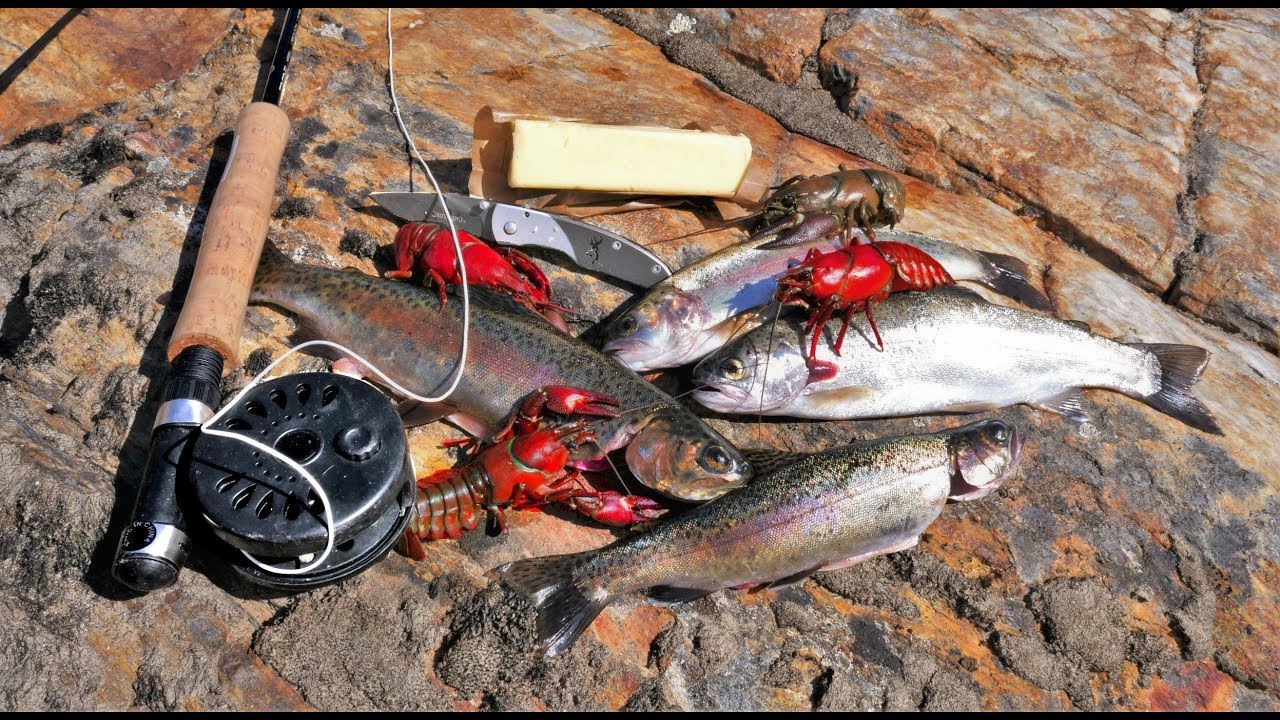 Catch and Cook and Camp Ep. 4 *WILD Trout, WILD Bass, WILD Crayfish*