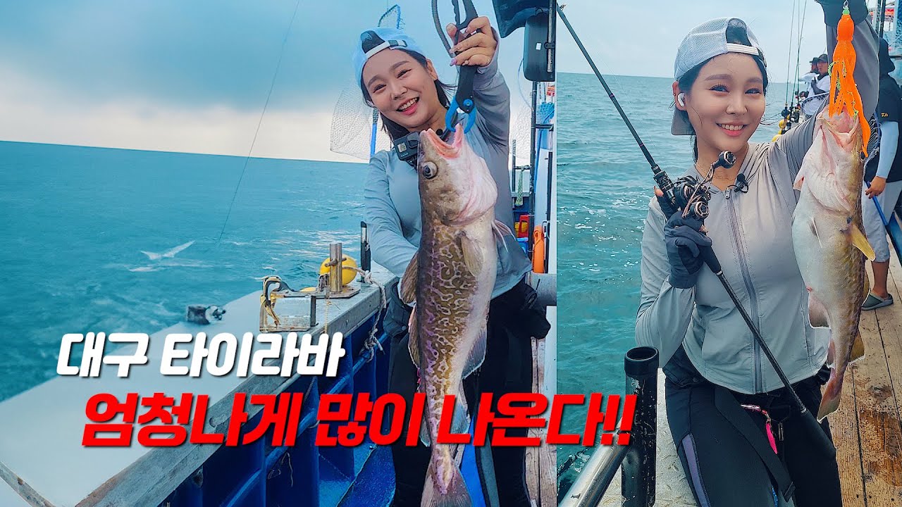 공현진항 '대구'는 다릅니다 엄청납니다 아주