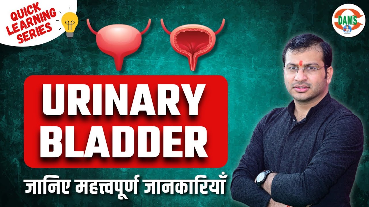 Urinary Bladder Complete Details | Quick Learning Series by Siddharth Sir | DAMS Nursing